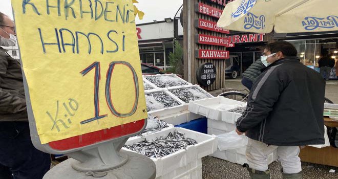 10 lira hamsiyi duyan tezgaha koştu