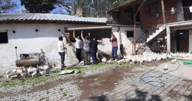 3 bin adet hindi yanmaktan son anda kurtarıldı