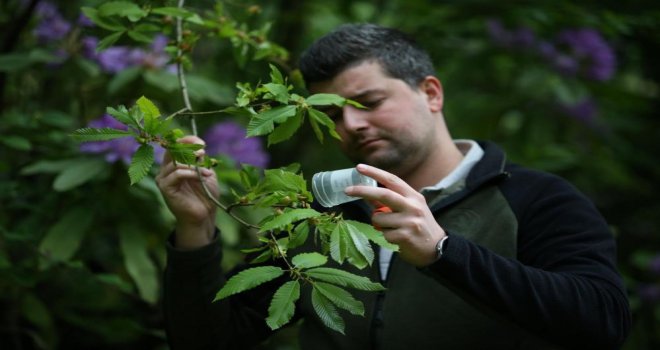 4 bin adet savaşçı böcek salındı