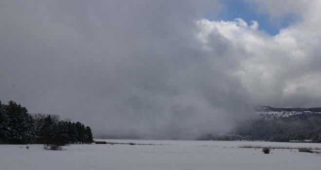 Abant Tabiat Parkı, sisle kaplandı