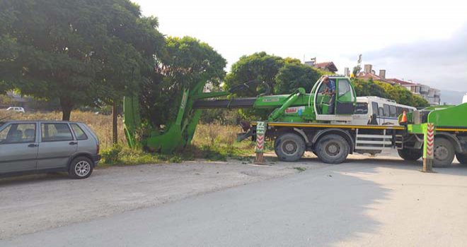 Ağaçlar ağaç sökme makinesi ile kesilmeden sökülerek başka yere taşınıyor