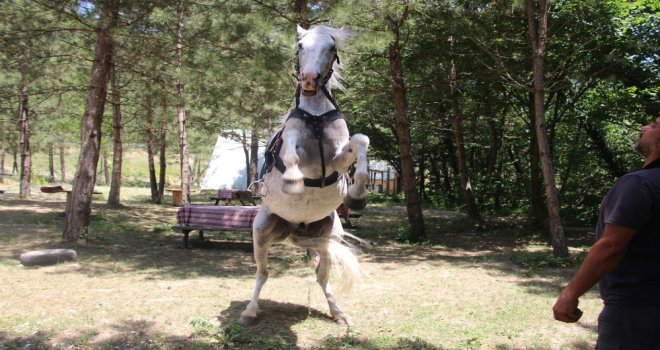 ‘Allah’ kelimesini duyduğu zaman şaha kalkıyor…