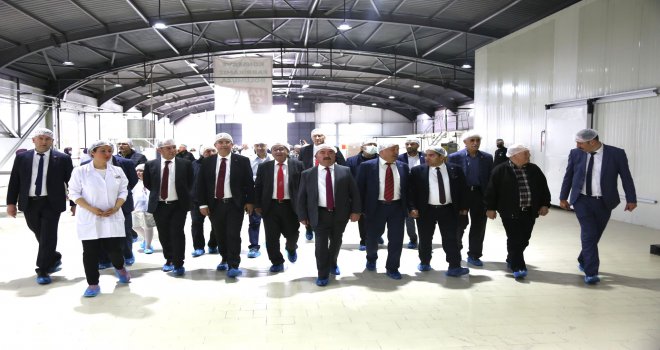 Anabolu Konserve Fabrikası Açıldı