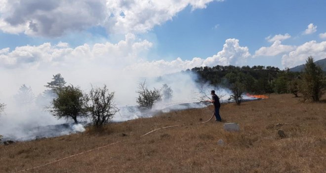 Anız yangını 20 dönümü kül etti: 4 tarla, 1 mezarlık yandı