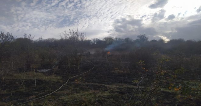 Anız yangını ormana sıçramadan söndürüldü........