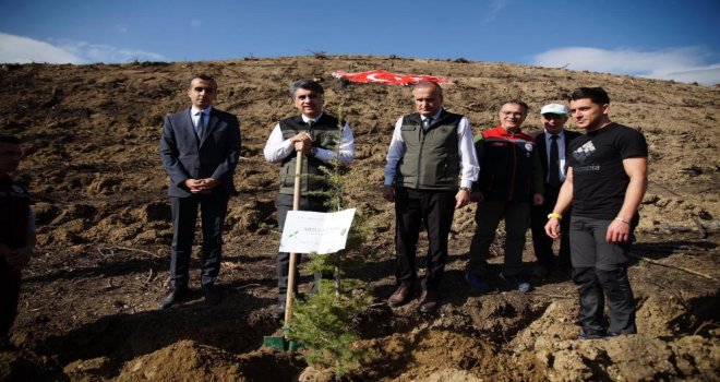 Arda Güler adına fidan dikildi