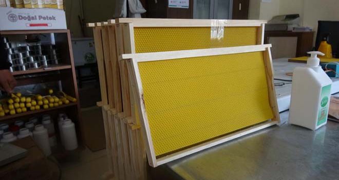 Arılar üşüme tehlikesiyle karşı karşıya