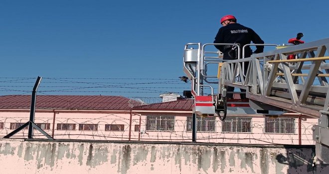 Bahçe tellerine takılan kargayı itfaiye kurtardı