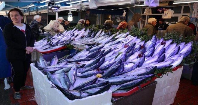 Balık tezgahları palamut ve hamsiyle doldu.......