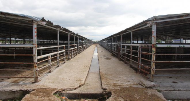 Bayrama günler kala hayvan pazarında sessizlik: ‘Alıcı da satıcı da kararsız’.....