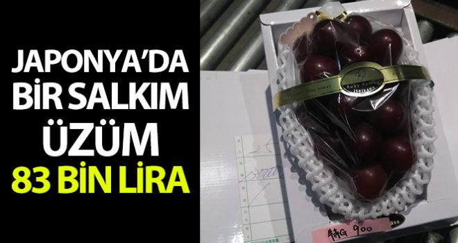 Bir salkım üzüme rekor fiyat