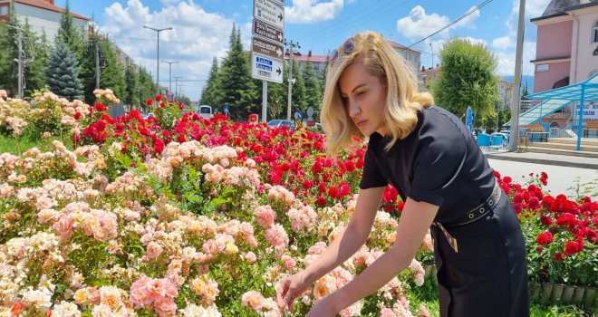 Bolu Belediyesi şehri güller ve lavantalarla donattı