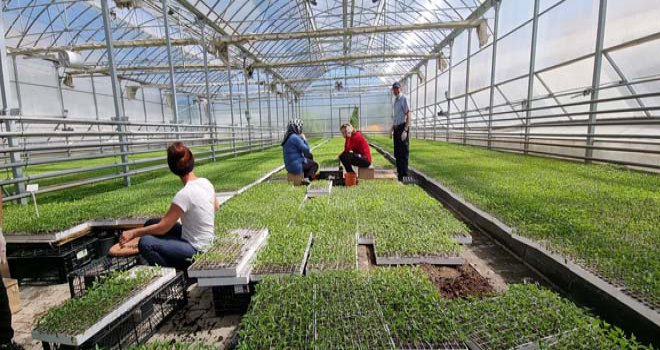 Bolu Belediyesi tarımsal faaliyetlere öncülük etmeye devam ediyor.....