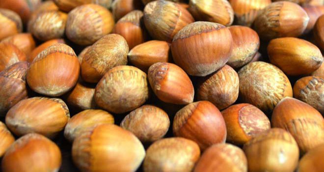 BOLU DAĞ FINDIĞI VE GÖYNÜK UĞUT TATLISI DA TESCİL EDİLDİ