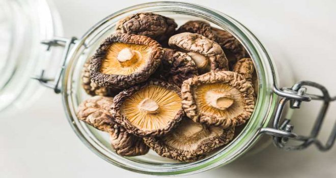 Bolu ormanlarında mantar bereketi: 25 kilo kanlıca topladı