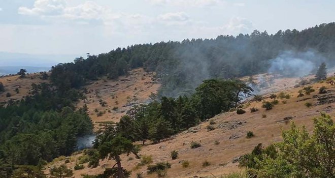 Bolu'da 1 hektarlık orman yangında zarar gördü