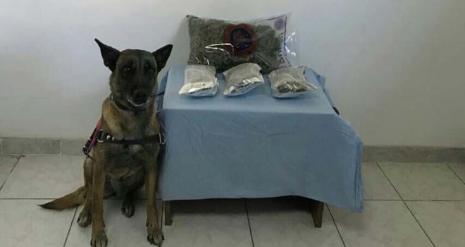 Bolu’da 1 kilo esrarla yakalanan şahıs tutuklandı