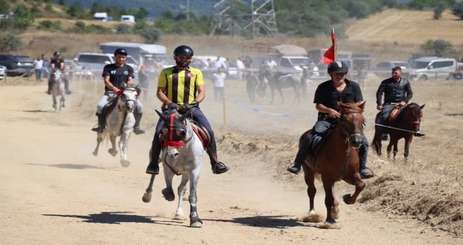 Bolu'da 15'inci geleneksel Rahvan At Yarışları'nda 75 at derece için yarıştı