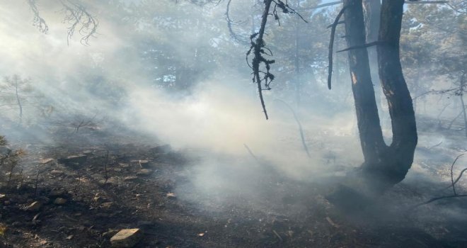 Bolu’da 2 dönümlük orman kül oldu.....