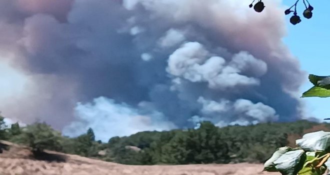 Bolu’da 2 ilçe arasında orman yangını başladı: Dumanlar gökyüzünü kapladı