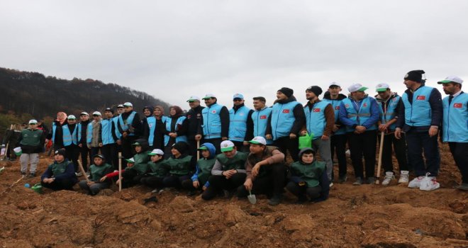 Bolu’da 30 bin fidanla yangınların yaraları sarılıyor...