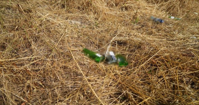 Bolu’da anız yakana cezalar arttı: 'Yanan alanlar parayla ölçülmez'