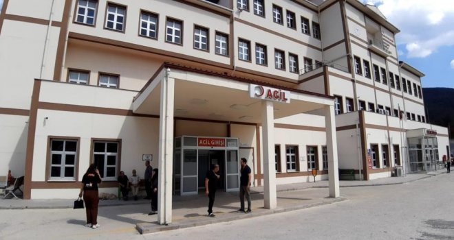Bolu'da ayı saldırısında 1 kişi yaralandı: Saldırı sonrası av kararı