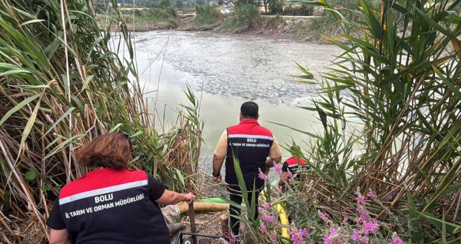 Bolu'da balık ölümlerinin yaşandığı gölde ekipler inceleme yaptı