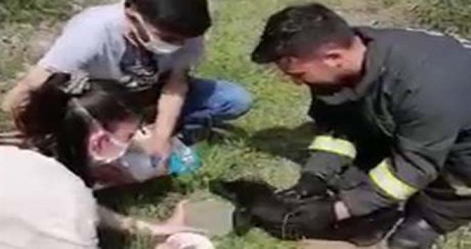 Bolu’da çalılıkların arasına sıkışan yavru köpeği itfaiye kurtardı