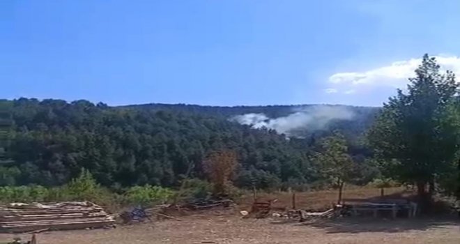 Bolu'da çıkan orman yangını kısa sürede söndürüldü.....