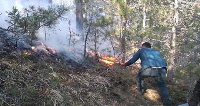 Bolu’da çıkan yangında 4 hektarlık orman zarar gördü