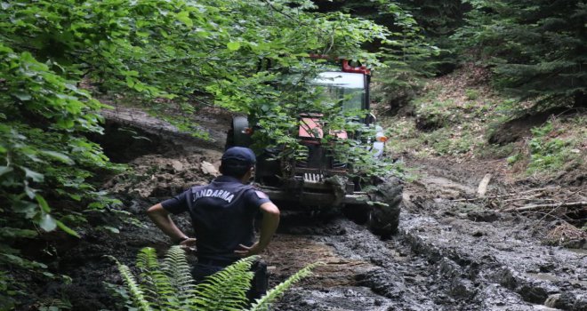 Bolu’da devrilen ağacın altında kalan işçi hayatını kaybetti