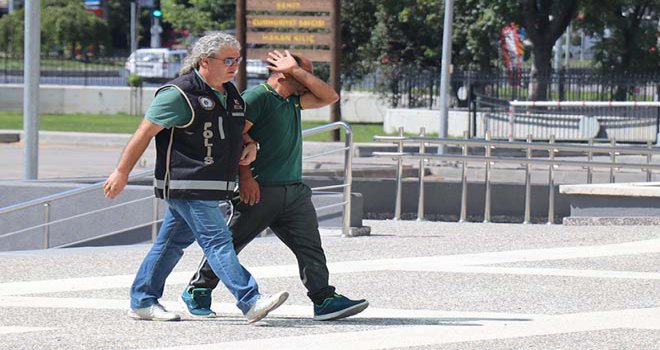 Bolu’da evinde uyuşturucu yetiştiren şahıs gözaltına alındı
