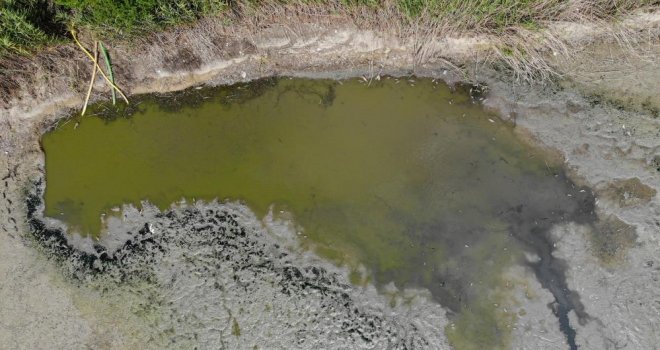 Bolu'da gölet kurudu: Yüzlerce telef olan balık havadan görüntülendi