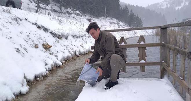 Bolu’da göllere 620 bin alabalık yavrusu bırakıldı