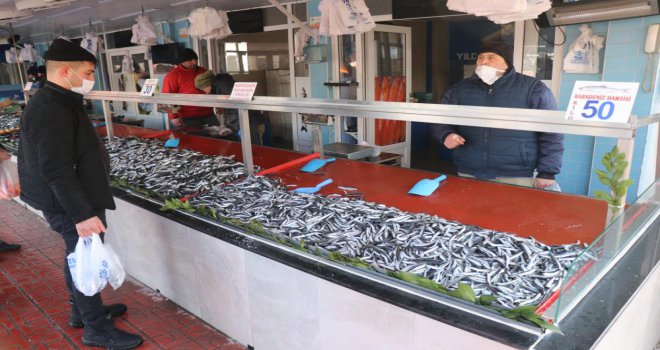Bolu’da hamsi fiyatları 50 liraya kadar çıktı