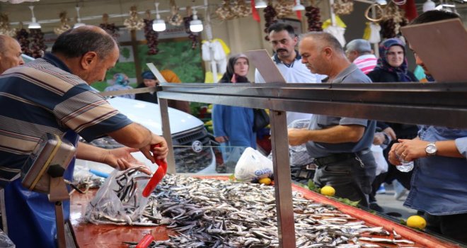 Bolu'da hamsinin fiyatı 50 lira birden düştü
