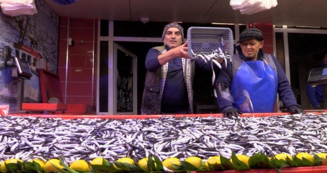 Bolu'da hamsinin kilosu 150 liraya düştü....