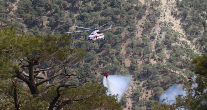 Bolu'da havadan ve karadan müdahale sürüyor: 15 hektarlık alan küle döndü
