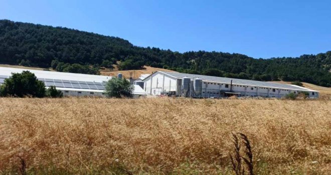 Bolu'da hindi çiftliğinde korkutan yangın: Facianın eşiğinden dönüldü