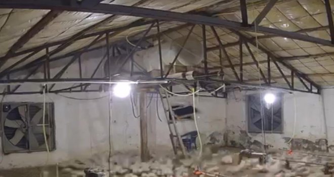 Bolu’da kümese girmeye çalışan ayı kamerada.....