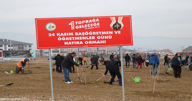 Bolu’da, ‘Öğretmenler Günü’ hatıra ormanı oluşturuldu