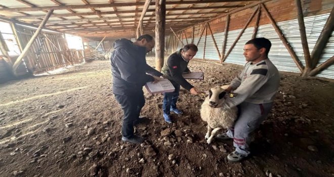 Bolu'da ORKÖY kredileri yüzleri güldürdü.....