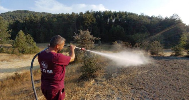Bolu'da orman kenarında anız yangını: Köylülerin su tankerli müdahalesi faciayı önledi