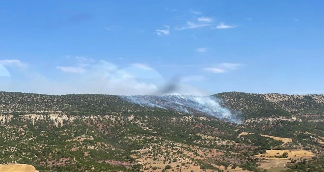 Bolu’da orman yangını devam ediyor……