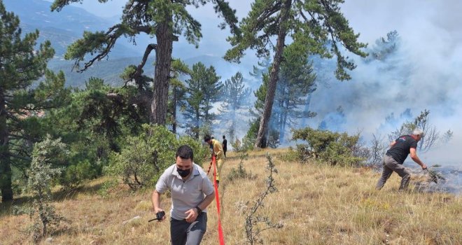 Bolu'da orman yangını: Havadan ve karadan müdahale sürüyor