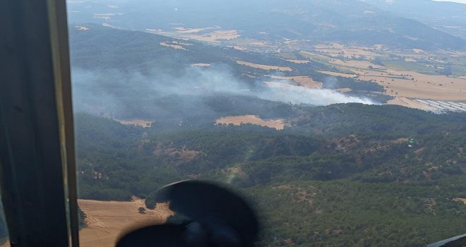 Bolu'da orman yangını.........................