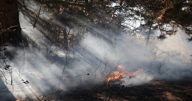 Bolu’da orman yangınında 10 dönümlük alan zarar gördü