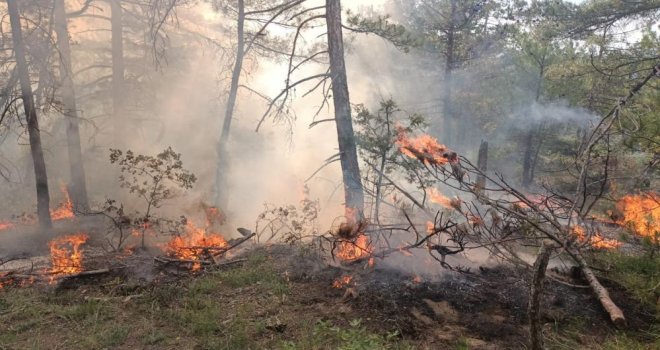 Bolu’da ormanlık alana düşen yıldırım yangına neden oldu