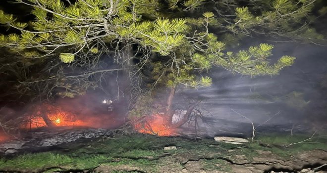 Bolu’da ormanlık alanda yangın…….